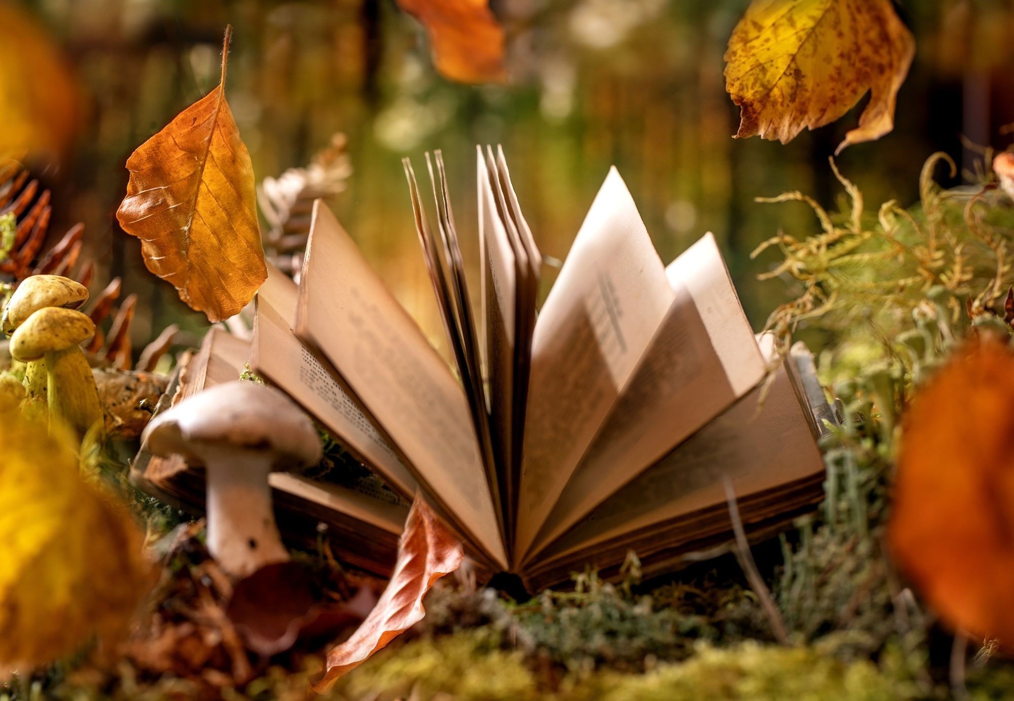 magia dell'autunno